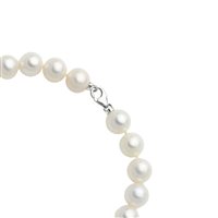 Bracelet Idee Preziose dal 1987 Femme in Perles IP.BK18B/12P - IP.BK18B/12P